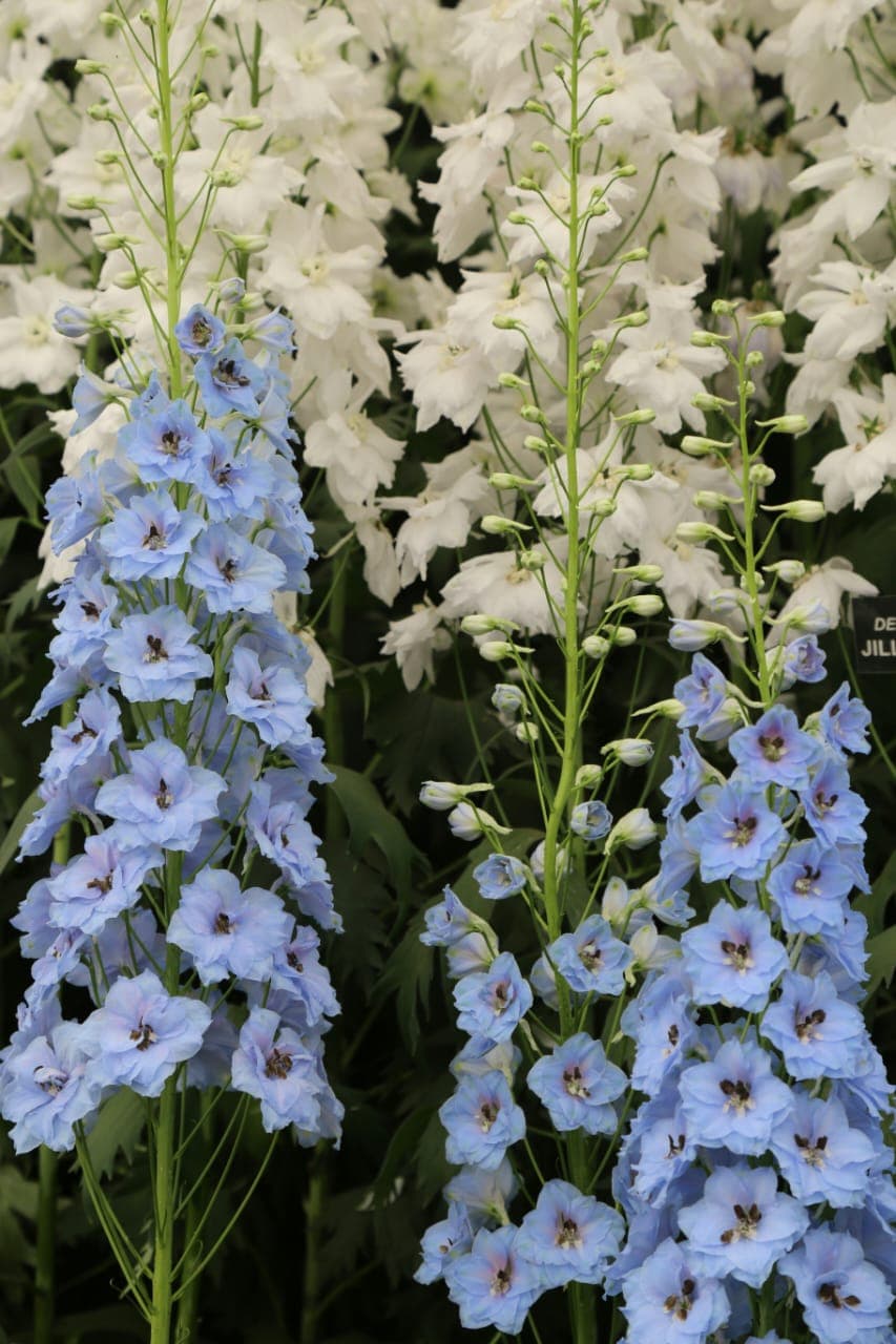 test 2 - View 1